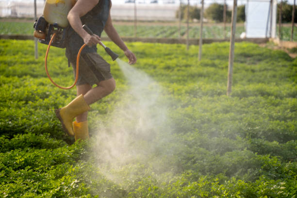 Pest Control Cost in Atoka, NM