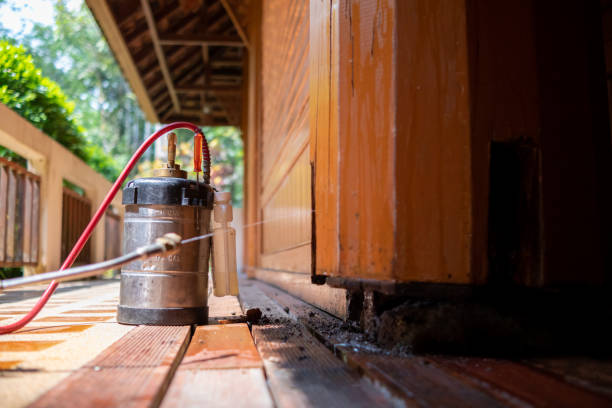 Best Local Pest Control Services  in Atoka, NM