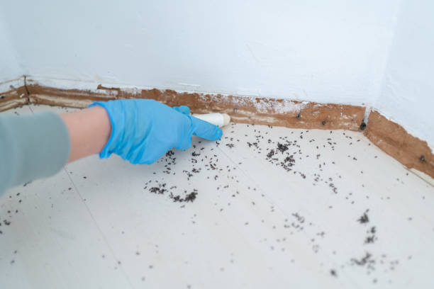 Best Pest Prevention Services  in Atoka, NM